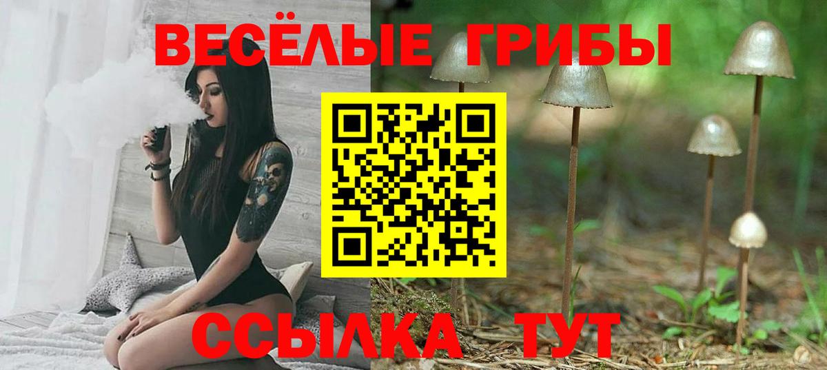 Кушва  Псилоцибиновые грибы GOLDEN TEACHER  цена   Вход с VPN 